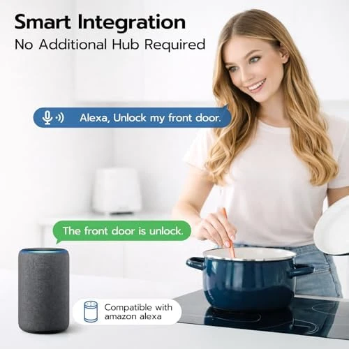 WiFi Video Smart Door Lock with Camera & Doorbell — Smart Lock, Nyboer