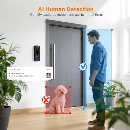 Wireless Dome Surveillance Camera — Security Camera, MeshSear