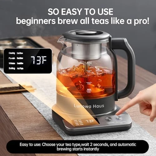 120V Titanium & Glass Electric Tea Kettle — Electric Kettle, Lunowa Haus