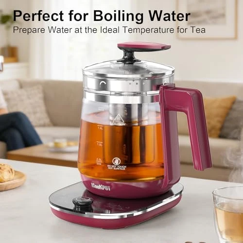 Electric Kettle with Temperature Control — Electric Kettle, ICOOKPOT