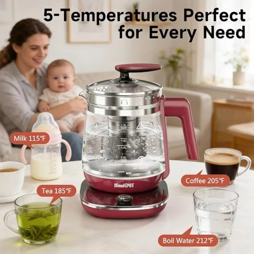 Electric Kettle with Temperature Control — Electric Kettle, ICOOKPOT