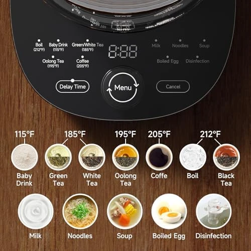 Electric Kettle with Temperature Control — Electric Kettle, ICOOKPOT