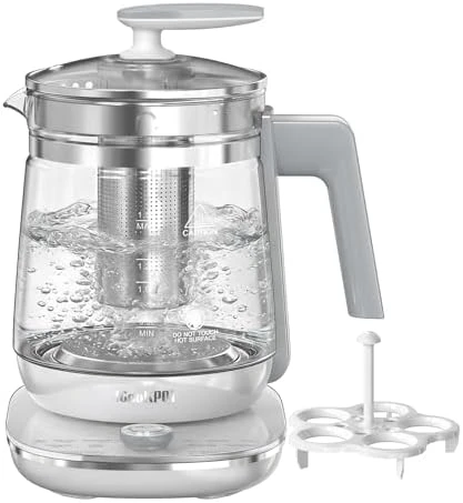 Electric Kettle with Temperature Control — Electric Kettle, ICOOKPOT