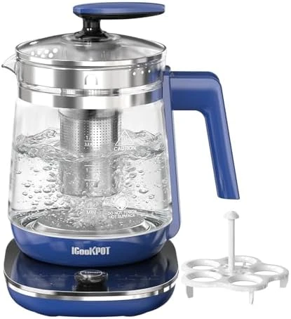 Electric Kettle with Temperature Control — Electric Kettle, ICOOKPOT