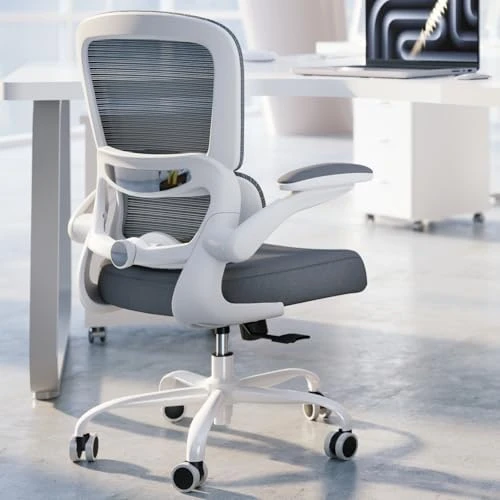 Ergonomic Desk Chair with Adjustable Lumbar Support — Smart Chairs, TRALT