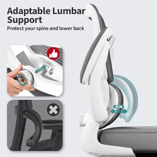 Ergonomic Desk Chair with Adjustable Lumbar Support — Smart Chairs, TRALT