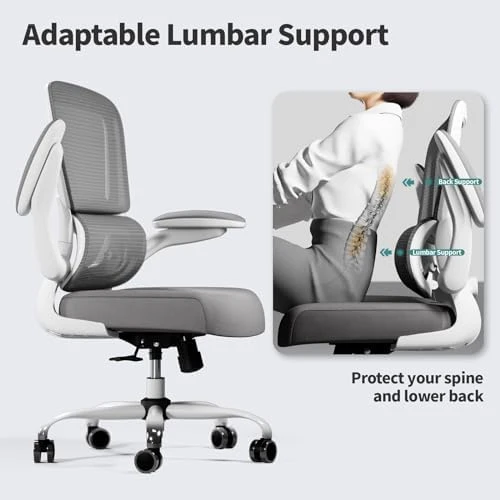 Ergonomic Desk Chair with Adjustable Lumbar Support — Smart Chairs, TRALT