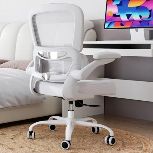 Ergonomic Desk Chair with Adjustable Lumbar Support — Smart Chairs, TRALT