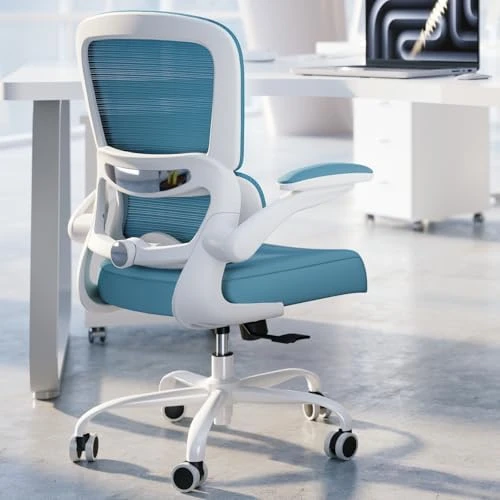 Ergonomic Desk Chair with Adjustable Lumbar Support — Smart Chairs, TRALT