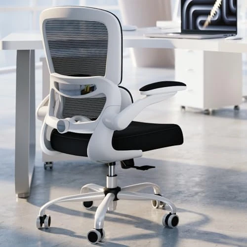 Ergonomic Desk Chair with Adjustable Lumbar Support — Smart Chairs, TRALT