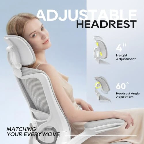 Ergonomic Mesh Desk Chair with Adjustable Lumbar Support and Headrest — Smart Chairs, Zeonsit