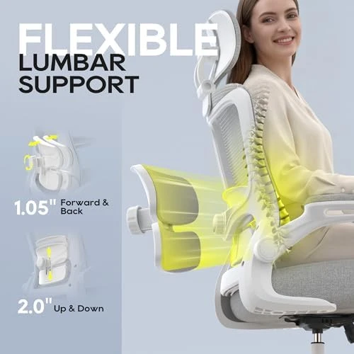 Ergonomic Mesh Desk Chair with Adjustable Lumbar Support and Headrest — Smart Chairs, Zeonsit