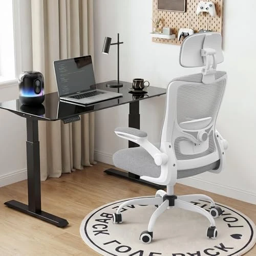 Ergonomic Mesh Desk Chair with Adjustable Lumbar Support and Headrest — Smart Chairs, Zeonsit