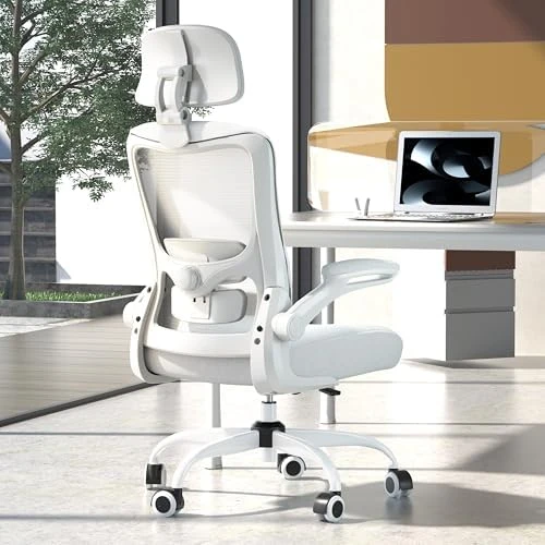 Ergonomic Mesh Desk Chair with Adjustable Lumbar Support and Headrest — Smart Chairs, Zeonsit