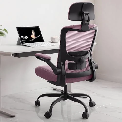 Ergonomic Mesh Desk Chair with Adjustable Lumbar Support and Headrest — Smart Chairs, Zeonsit