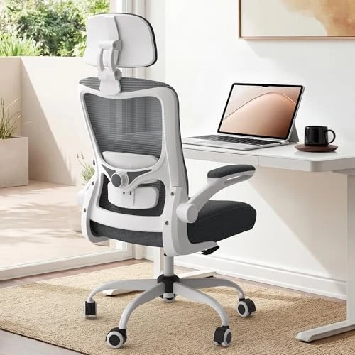 Ergonomic Mesh Desk Chair with Adjustable Lumbar Support and Headrest — Smart Chairs, Zeonsit