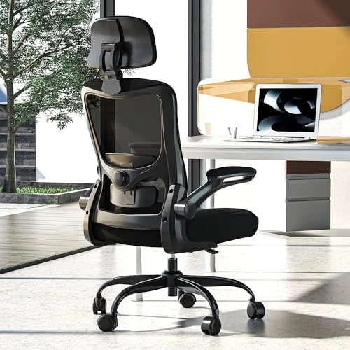 Ergonomic Mesh Desk Chair with Adjustable Lumbar Support and Headrest — Smart Chairs, Zeonsit