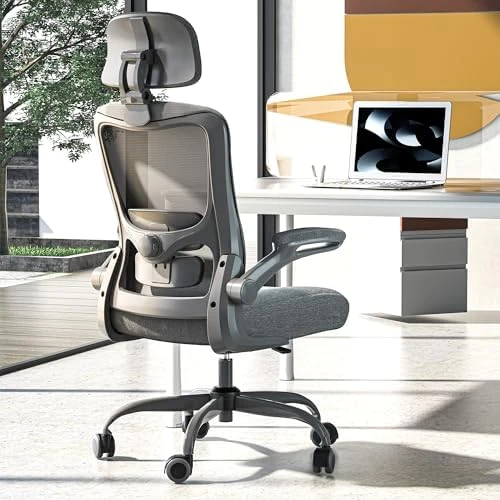 Ergonomic Mesh Desk Chair with Adjustable Lumbar Support and Headrest — Smart Chairs, Zeonsit