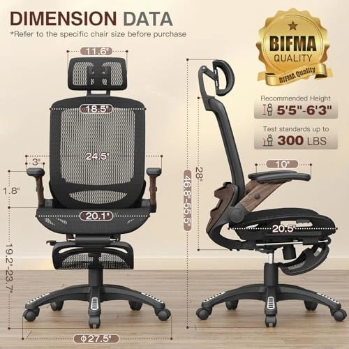 Ergonomic Office Chair with Footrest — Smart Chairs, GABRYLLY