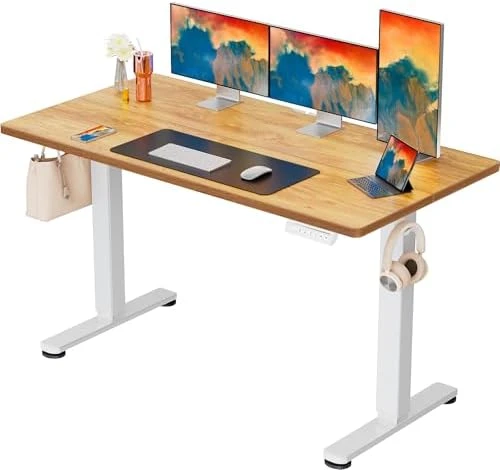 Height Adjustable Electric Standing Desk 55 x 28 Inches — Standing Desk, ErGear
