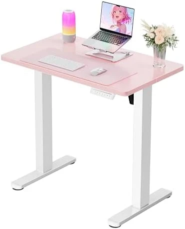 Height Adjustable Electric Standing Desk 55 x 28 Inches — Standing Desk, ErGear