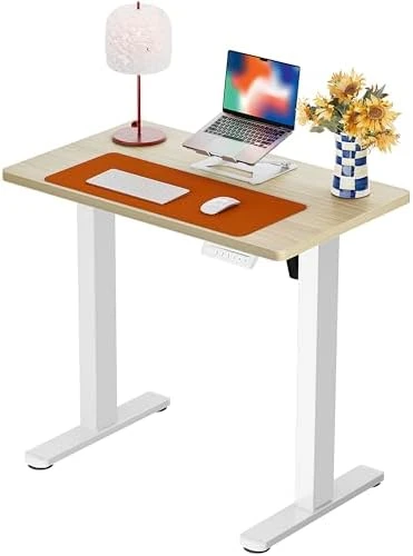 Height Adjustable Electric Standing Desk 55 x 28 Inches — Standing Desk, ErGear
