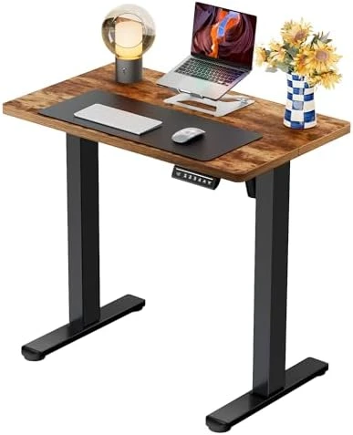 Height Adjustable Electric Standing Desk 55 x 28 Inches — Standing Desk, ErGear