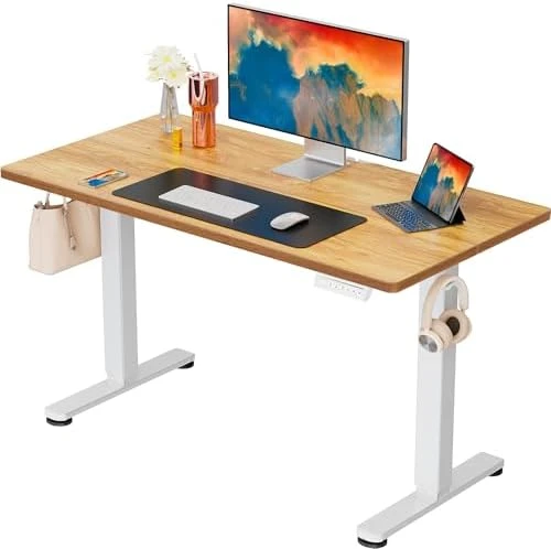 Height Adjustable Electric Standing Desk 55 x 28 Inches — Standing Desk, ErGear