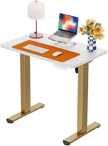 Height Adjustable Electric Standing Desk 55 x 28 Inches — Standing Desk, ErGear