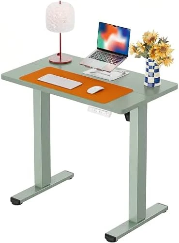 Height Adjustable Electric Standing Desk 55 x 28 Inches — Standing Desk, ErGear