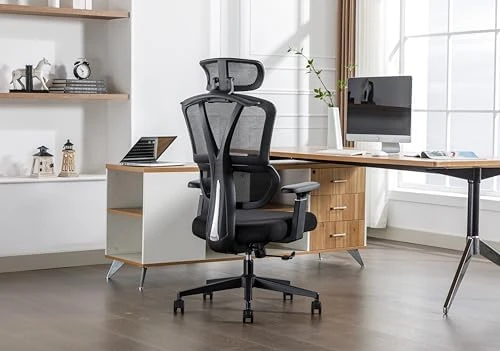 Mesh High Back Ergonomic Office Chair — Smart Chairs, BIKIGIRL