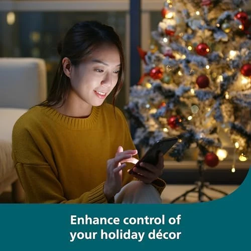 Indoor Smart Plug — Smart Plug, Philips