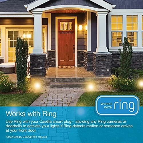 Outdoor Smart Plug with Pico Remote — Smart Plug, Lutron