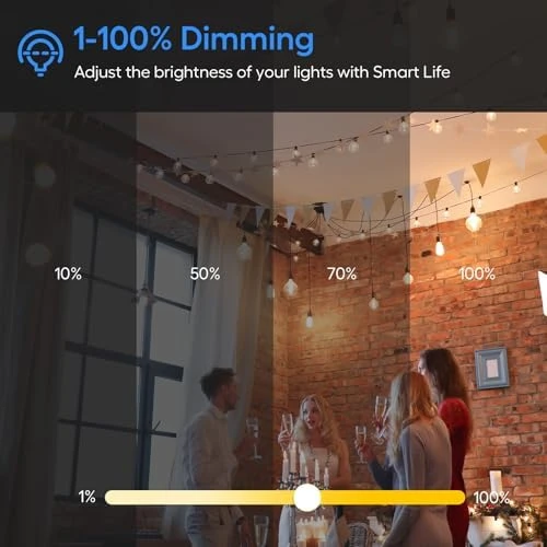 Smart Dimmer Plug — Smart Plug, Eva's Light