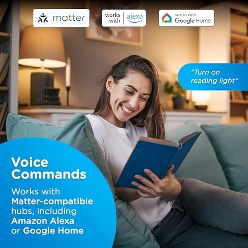 Vibe Indoor Dual-Outlet Wi-Fi Matter Smart Plug — Smart Plug, Enbrighten