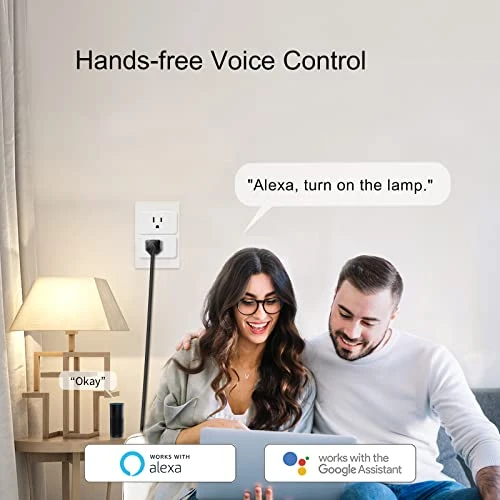 WiFi Smart Dimmable Plug 2 Pack — Smart Plug, Eva's Light Store