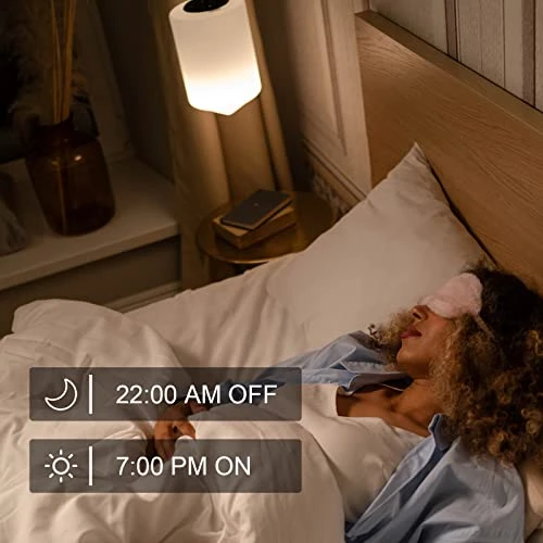 WiFi Smart Dimmable Plug 2 Pack — Smart Plug, Eva's Light Store