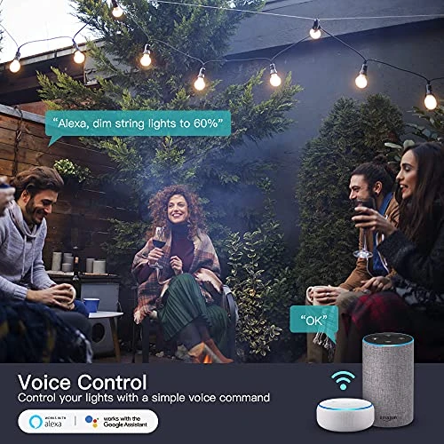 2 in 1 Outdoor Smart Dimmer Plug — Smart Plug, TREATLIFE