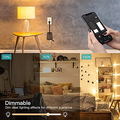 2 in 1 Outdoor Smart Dimmer Plug — Smart Plug, TREATLIFE