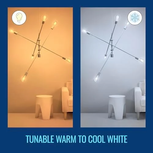 60W ST19 Tunable White Filament LED Smart Light Bulb — Smart Light Bulb, WiZ Connected