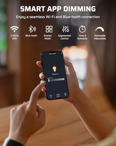 Outdoor Dimmer for String Lights — Smart Plug, DEWENWILS