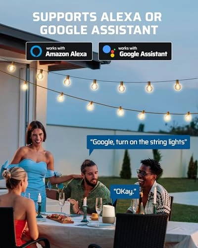 Outdoor Dimmer for String Lights — Smart Plug, DEWENWILS