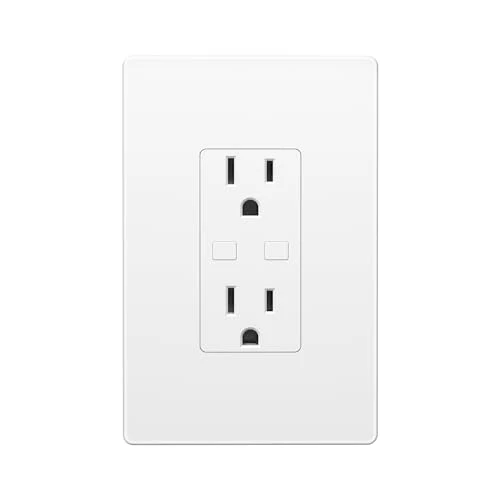 Smart Electrical Outlet with 2 Controlled Plugs and Type-C Charging — Smart Plug, BN-LINK