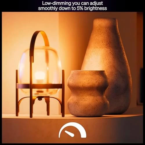 Smart LED A19 Bulb 2-Pack — Smart Light Bulb, Philips
