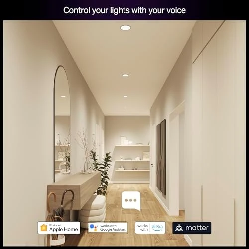 Smart LED BR30 Bulb 2-Pack, White and Color Ambiance — Smart Light Bulb, Philips