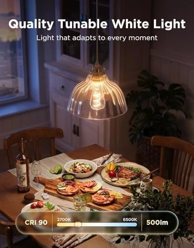 Smart Vintage Light Bulbs — Smart Light Bulb, Govee