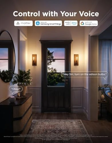 Smart Vintage Light Bulbs — Smart Light Bulb, Govee