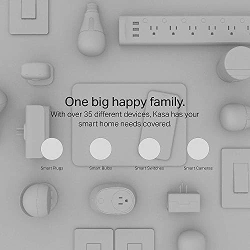 Smart Wi-Fi Outlet with Voice Control — Smart Plug, TP-Link