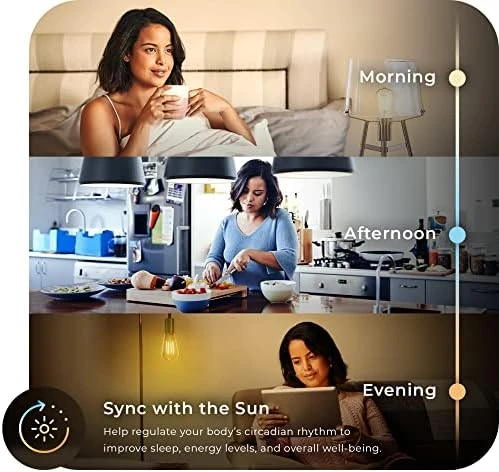 Smart Wi-Fi Tunable White Vintage Edison LED Bulb — Smart Light Bulb, Globe Electric