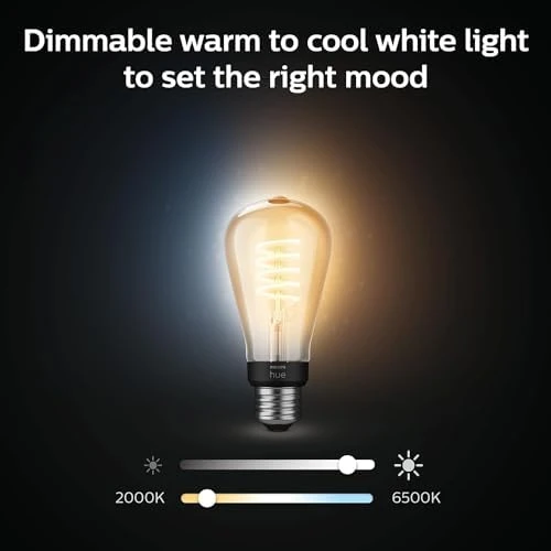 ST19 White Ambiance LED Smart Vintage Edison Filament Bulb, Warm — Smart Light Bulb, Philips Hue